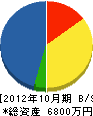 西湘設備工業 貸借対照表 2012年10月期