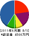岡本組 貸借対照表 2011年6月期