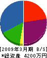 紅井電機商会 貸借対照表 2009年3月期