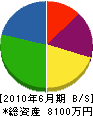 細川興業 貸借対照表 2010年6月期