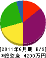 昭和技建工業 貸借対照表 2011年6月期