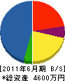 野沢土建 貸借対照表 2011年6月期