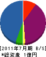 深沢電気商会 貸借対照表 2011年7月期