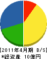 シンオシマ 貸借対照表 2011年4月期