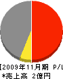 江川組 損益計算書 2009年11月期
