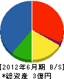 山田土木 貸借対照表 2012年6月期