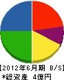 清沢土建 貸借対照表 2012年6月期