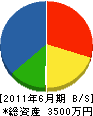 中村塗装店 貸借対照表 2011年6月期