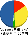 松村建設 貸借対照表 2010年6月期