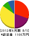 日本造園研究所 貸借対照表 2012年6月期