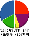 長井地下開発 貸借対照表 2010年8月期