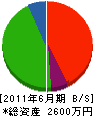 大塚建設 貸借対照表 2011年6月期