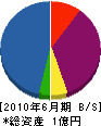 中村電気 貸借対照表 2010年6月期