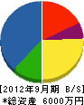 志賀電設 貸借対照表 2012年9月期