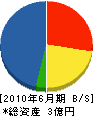 本田建設 貸借対照表 2010年6月期