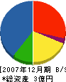 千葉設備工業 貸借対照表 2007年12月期