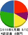 清沢土建 貸借対照表 2010年6月期