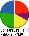 清沢土建 貸借対照表 2011年6月期