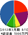 車田電気 貸借対照表 2012年3月期