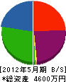 松村塗装店 貸借対照表 2012年5月期