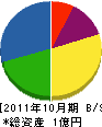 中国電波設備 貸借対照表 2011年10月期