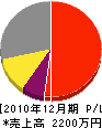 辻工業 損益計算書 2010年12月期