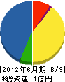 竹内建設 貸借対照表 2012年6月期