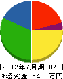 辻村電業 貸借対照表 2012年7月期