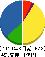 栄進電工 貸借対照表 2010年6月期