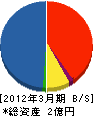 クリエイト軽井沢建設 貸借対照表 2012年3月期