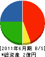 石田電設 貸借対照表 2011年6月期