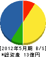斉藤井出建設 貸借対照表 2012年5月期