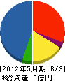 日本アドックス 貸借対照表 2012年5月期