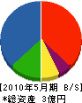 葵組 貸借対照表 2010年5月期