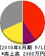 下田工務店 損益計算書 2010年6月期
