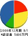 茅嶋建築 貸借対照表 2008年12月期