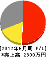 上田建設 損益計算書 2012年6月期