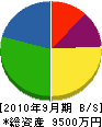 伊藤電気 貸借対照表 2010年9月期