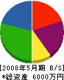 大昌興産 貸借対照表 2008年5月期