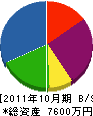 新栄住設 貸借対照表 2011年10月期