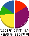丸田塗装 貸借対照表 2008年10月期