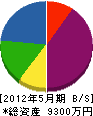 齋藤工務所 貸借対照表 2012年5月期
