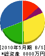 中島塗装 貸借対照表 2010年5月期