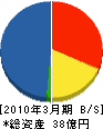 日本板硝子環境アメニティ 貸借対照表 2010年3月期