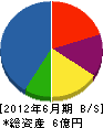 中野組 貸借対照表 2012年6月期