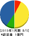 沖田電機工業所 貸借対照表 2013年1月期