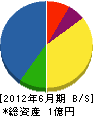 松永通信 貸借対照表 2012年6月期