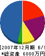 東亜商会 貸借対照表 2007年12月期