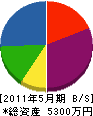 鈴木建設 貸借対照表 2011年5月期