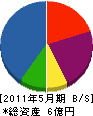 櫻井 貸借対照表 2011年5月期